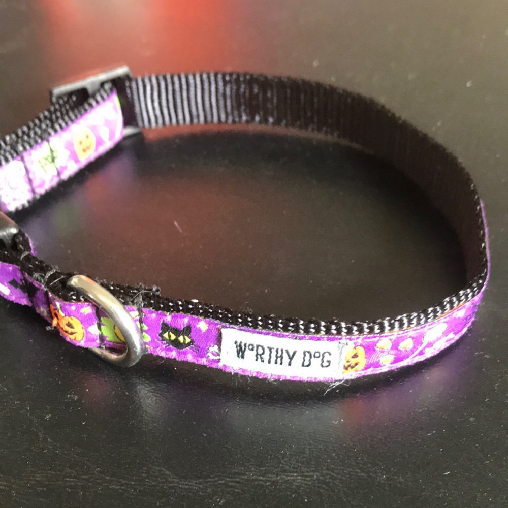 Halloween collar